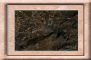 tlemcen satelitte- 22 km.jpg
